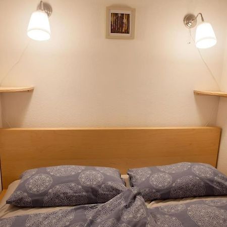 Gemuetliches 2P-Apartment In Ruhiger Lage دريسدن المظهر الخارجي الصورة
